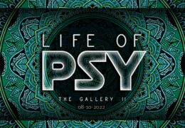 Life Of Psy: The Gallery II op Life Of Psy: The Gallery II